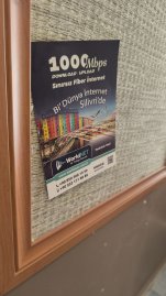 6014669581844595232 (1).jpg